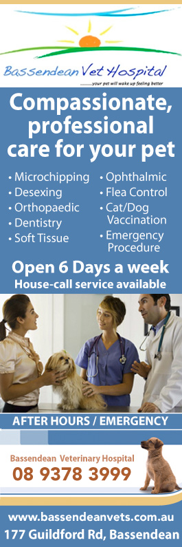 Bassendean Veterinary Hospital