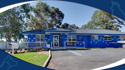 Para Hills Veterinary Clinic Hero Image