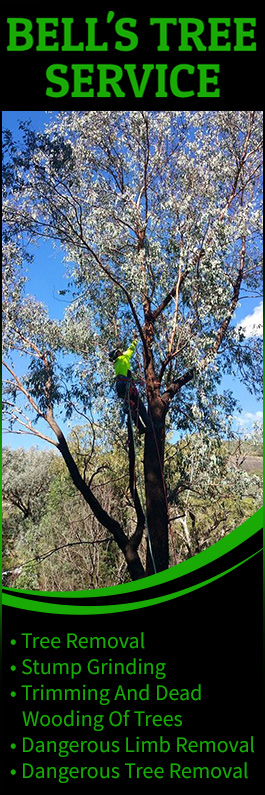 Bell's Tree Service