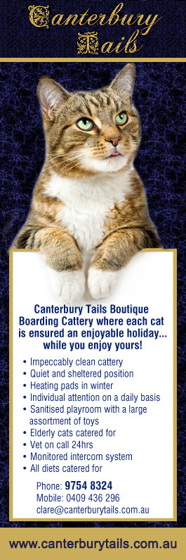 Canterbury Tails Boutique Boarding Cattery