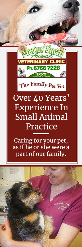 Marius Small Animal Veterinary Clinic