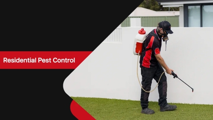 Chambers Pest Solutions Hero Image