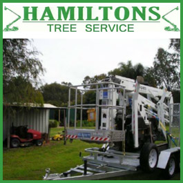 Hamilton's Tree Service