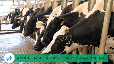 G V Dairy Supplies Pty Ltd Hero Image