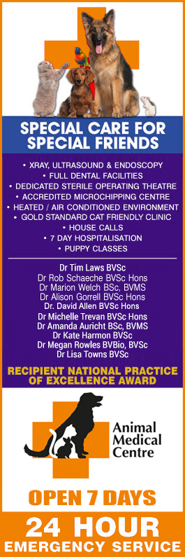 Animal Medical Centre Veterinary Hospital