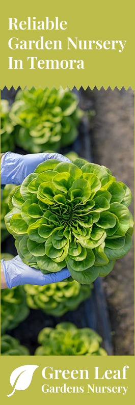 Green Leaf Gardens Nursery