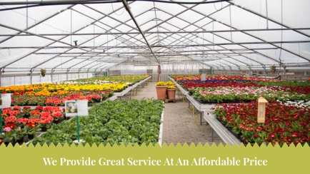Green Leaf Gardens Nursery Hero Image