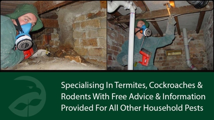 Systems Pest Management Pty Ltd Hero Image
