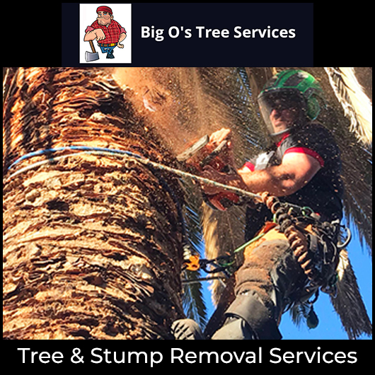 Big O's Tree Services