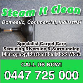 Steam It Clean