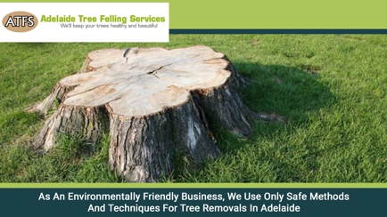 Adelaide Tree Felling Services Hero Image