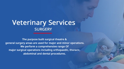 Kirrawee Veterinary Hospital Hero Image