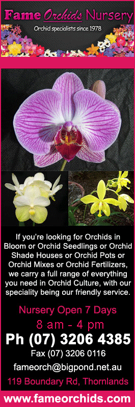 Fame Orchids Nursery