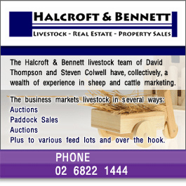 Halcroft and Bennett Pty Ltd