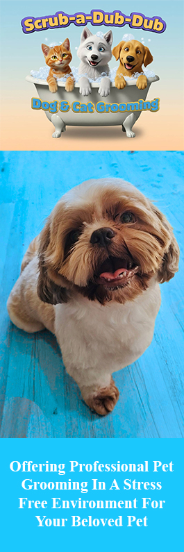 Scrub-A-Dub-Dub Dog & Cat Grooming