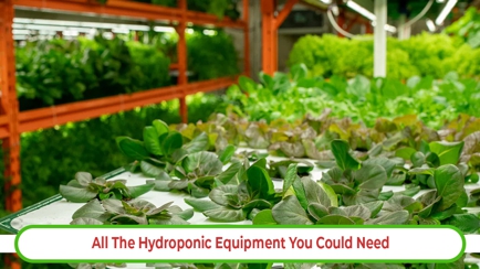 Green Acres Hydroponics Hero Image