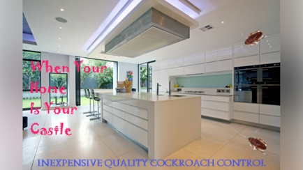 Cairns Pest Control Services Hero Image