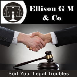 Ellison G M & Co