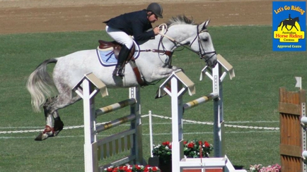 Forest Park Riding & Equitation School Hero Image