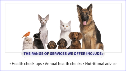Alcorn Street Veterinary Clinic Hero Image