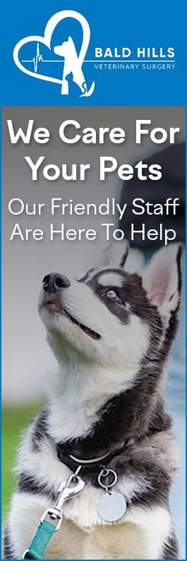 Bald Hills Veterinary Surgery