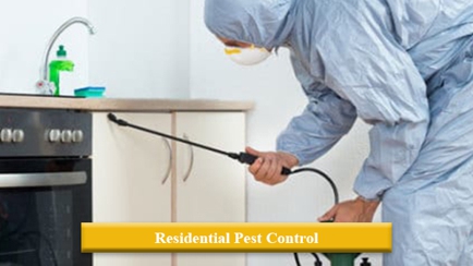 Any Pest Control Hero Image