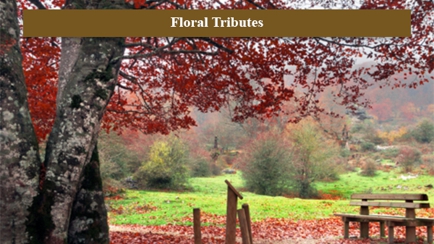 McKee Family Funerals Hero Image