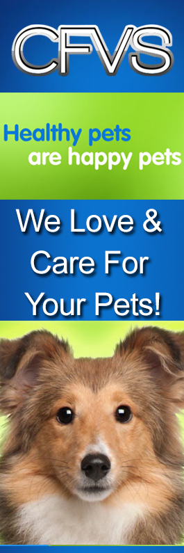 Currumbin Fair Veterinary Surgery
