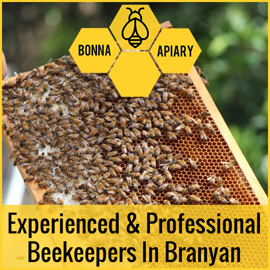 Bonna Apiary