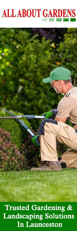 All About Gardens