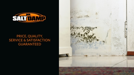 Mr Salt Damp Hero Image