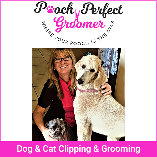Pooch Perfect Groomer