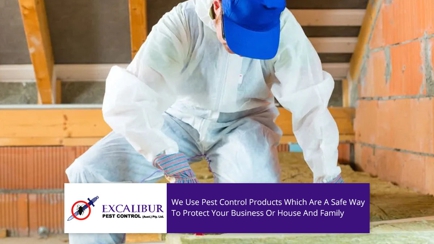 Excalibur Pest Control Hero Image