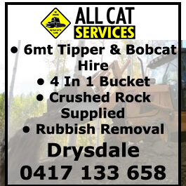 Allcat Services
