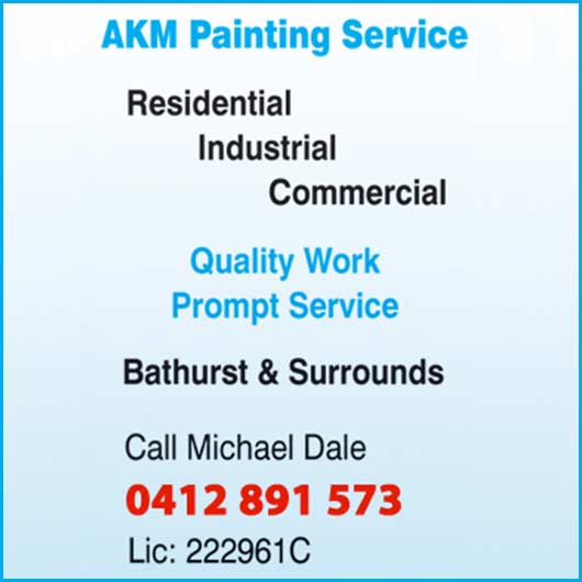 AKM Painting Service