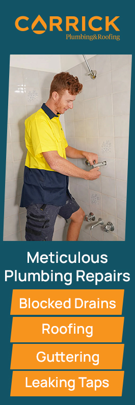 Carrick Plumbing & Roofing