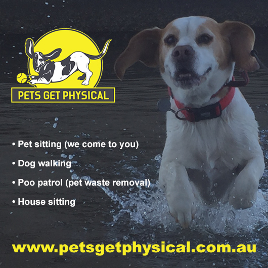 Pets Get Physical