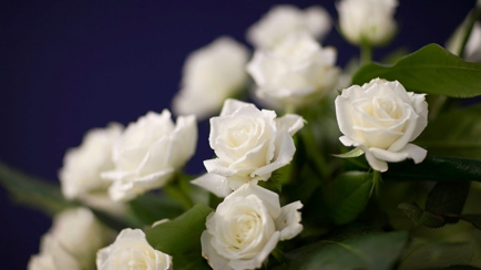 Owen Mohan Funeral Directors Hero Image