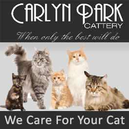 Carlyn Park Cattery