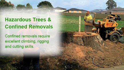 Drouin Tree Services Hero Image