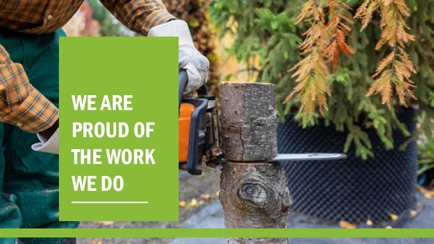 3Way Tree Services Pty Ltd Hero Image