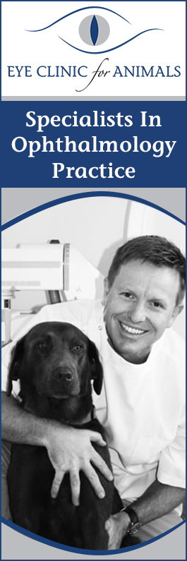Eye Clinic For Animals
