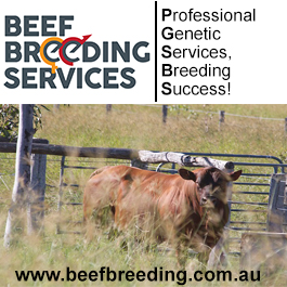 Beef Breeding Services Pty Ltd