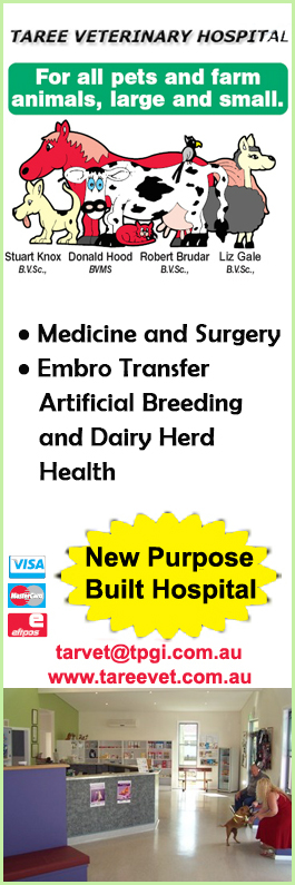 Taree Veterinary Hospital