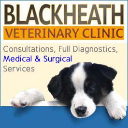 Blackheath Veterinary Clinic