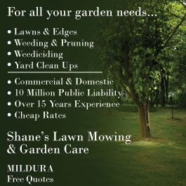 Shane's Lawn Mowing & Garden Care