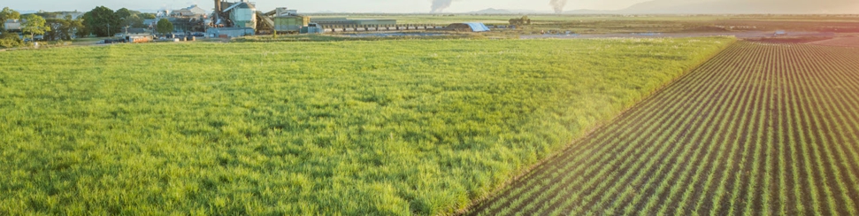 Wilmar Sugar and Renewables - Pioneer Mill Hero Image