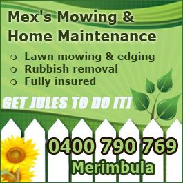 Mex's Mowing & Home Maintenance