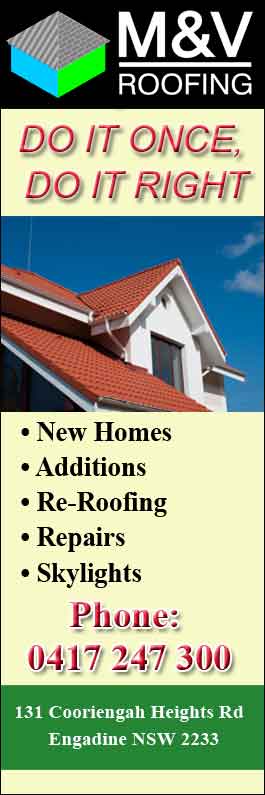 M & V Roofing