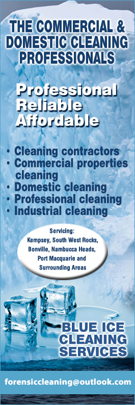Blue Ice Cleaning Services
